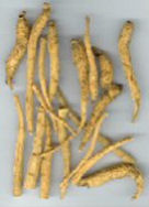 benseng american ginseng