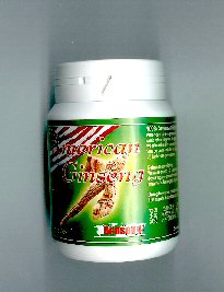 benseng american ginseng
