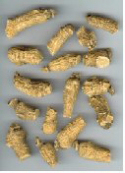 benseng american ginseng
