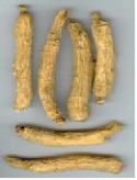 benseng american ginseng