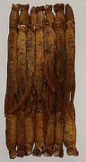 benseng korean ginseng