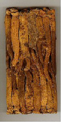 benseng korean ginseng