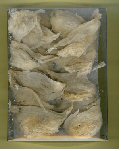 benseng vogelnestjes