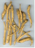 benseng american ginseng