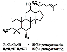 benseng-ginsenosiden2