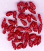 benseng wolfberry chinese gojiberry