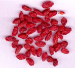 benseng-chinese wolfberry los