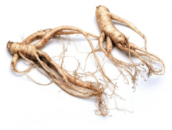 ginseng wortel