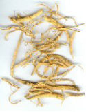 benseng white korean ginseng root