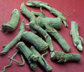 ashwagandha wortel