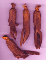 benseng red korean ginseng root mixed size